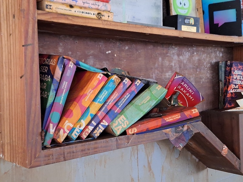 Juntos pela Leitura no RS: TAG e parceiros arrecadam livros para reconstrução de acervos de bibliotecas atingidas pela enchente no RS